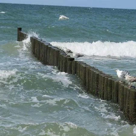 Lejlighed “haus Am Kuestenwald” *