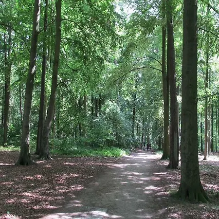 Lägenhet “haus Am Kuestenwald”